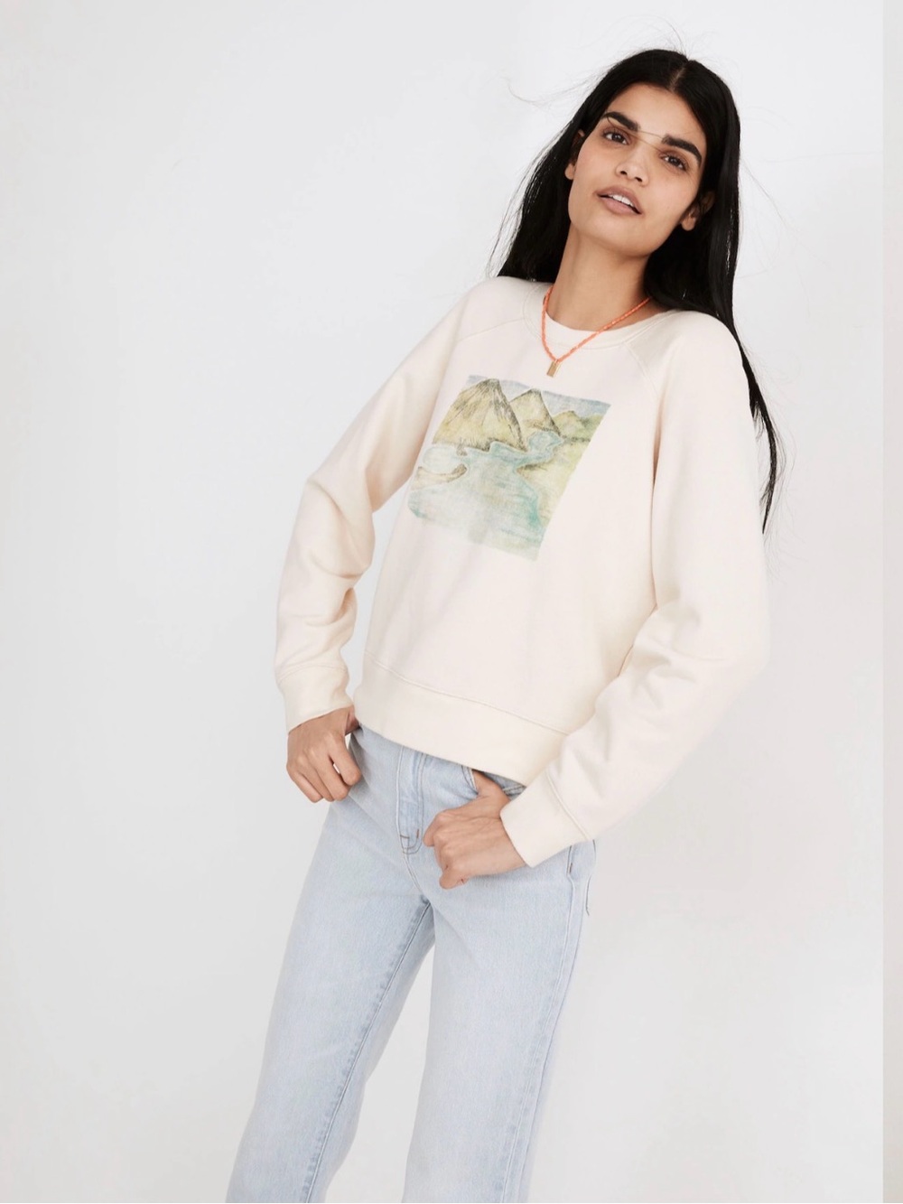 Madewell Tahitian Souvenir Cotton Sweatshirt Mountain River Graphics Size Medium